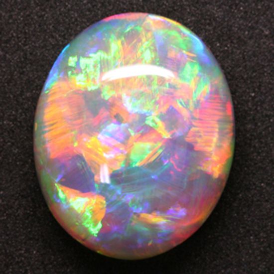 The Opal Family